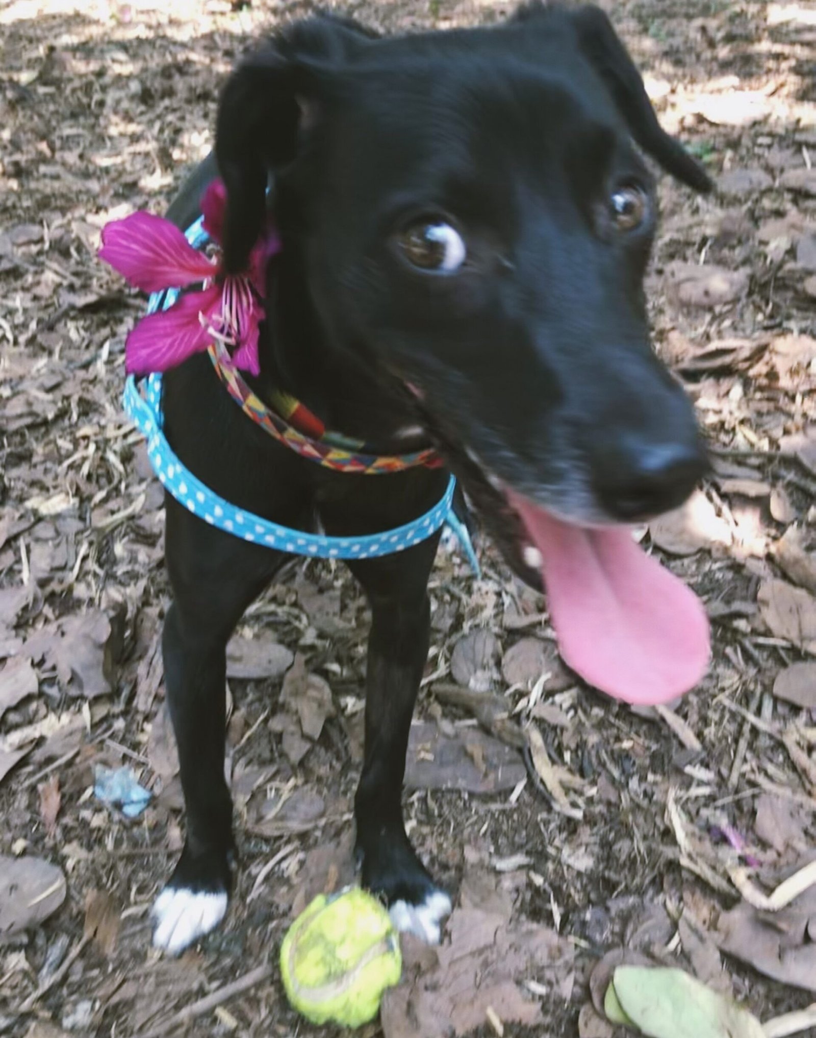 Processed with VSCO with av8 preset